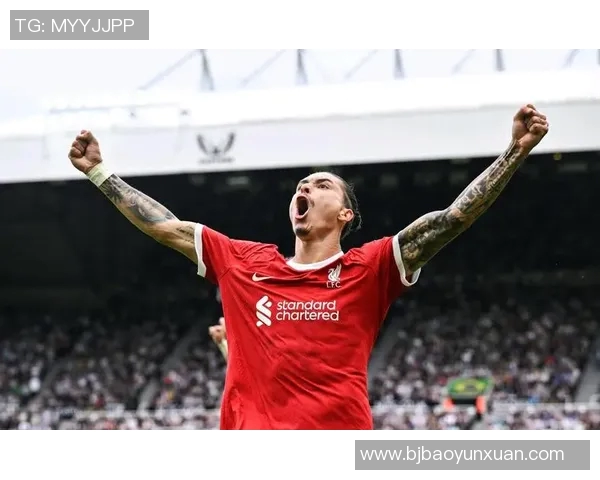 努涅斯的崛起与挑战：在足球世界中书写属于自己的传奇篇章