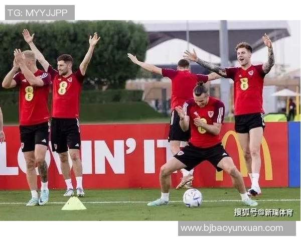 威尔士与芬兰精彩对决视频回顾及赛后分析