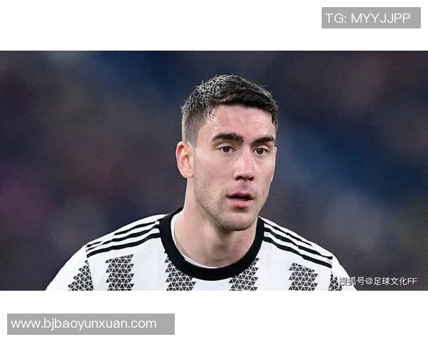 弗拉霍维奇：从天才前锋到意甲新星的崛起之路与未来展望