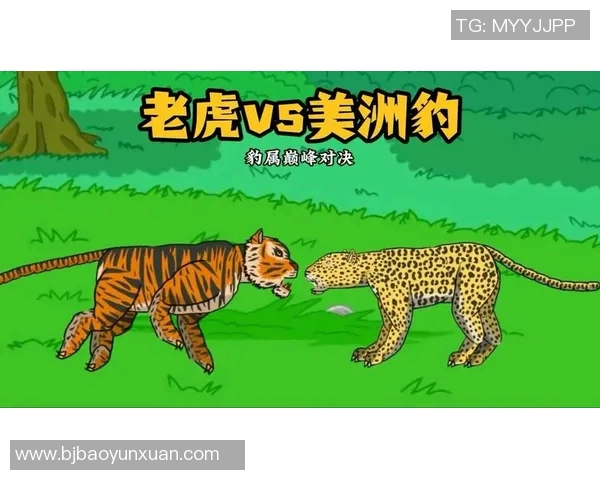 老虎大学与纽约城的激烈对决揭示了高校体育的魅力与竞争精神